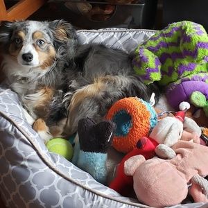 Meet your Posher, Rob